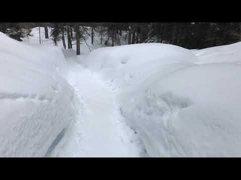 So geht Schneewandern in Seefeld