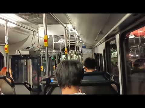 Loud Radiator - Transit Systems - 1907 - Mercedes 0500LE/CC CB60 Evo 2[Leichhardt](440 - Rozelle)