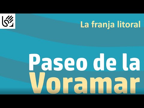 Cómo signar Vegetación en LSE