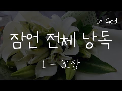 [In God] 잠언 전체 낭독 #성경듣기66권 #성경낭독하는 남자 #개역개정 #낮은배경음