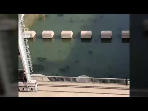 The Traveling angler river ebro brings you your Ebroexperience like no other 🎣