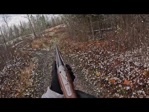 Grouse Hunting - Beretta 686 Silver Pigeon 1