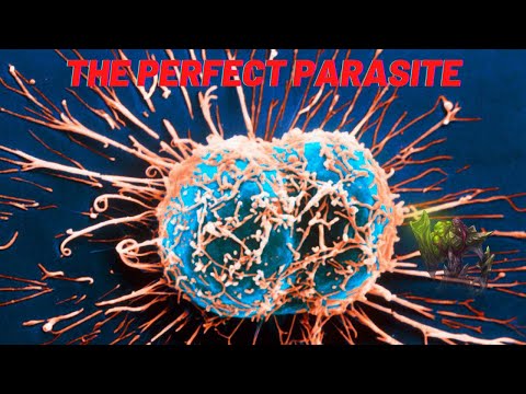 Perfect Parasite Gameplay Guide. | HoN