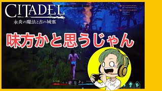 シタデル：永炎の魔法と古の城塞！実況プレイ③
