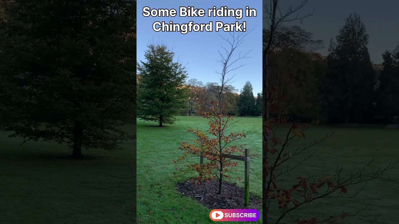 YouTube Short thumbnail