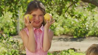 U.S. Polo Assn. Summer 2023