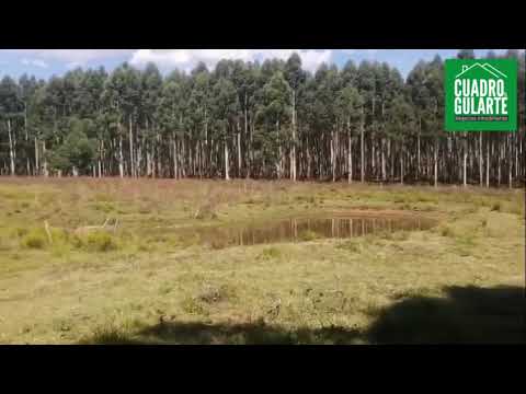 VIDEO CHACRA CERRO SOLITO