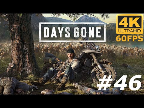Zagrajmy w Days Gone odc: 46 - Kolejny Teren Badań