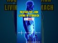 Ruqyah For Jinn Living In Stomach Powerful Ruqyah To Burn Every Jinn Inside Your Body And House