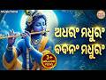 ଅଧରଂ ମଧୁରଂ Adharam Madhuram Lofi ମଧୁରାଷ୍ଟକମ୍ Madhurashtakam 