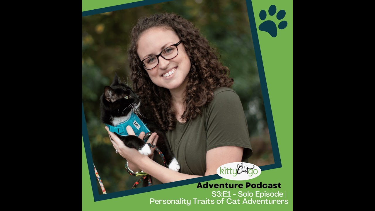 3:1 - The Adventure Cat Personality Test: 6 Traits to Look For 🐱✨