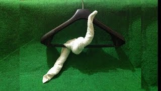 BIRD ON THE BRANCH - MY TOWEL CREATION