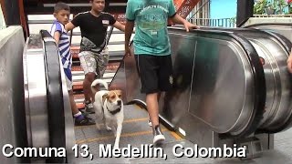 preview picture of video 'Visiting Comuna 13, Medellín, Colombia'