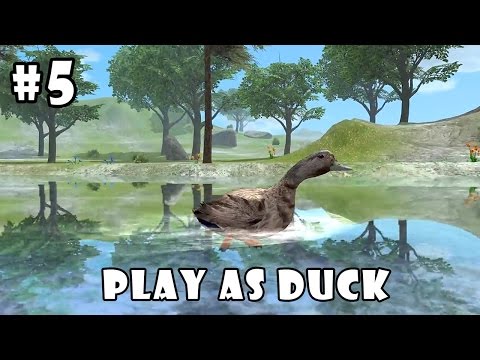 Ultimate Bird Simulator (by Gluten Free Games) Android Gameplay Part 5 [HD] - YouTube