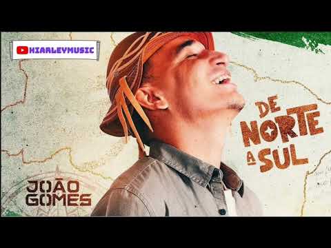 João Gomes - Leão Do Dia (De Norte A Sul)