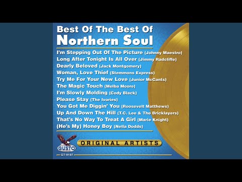 Try Me For Your New Love