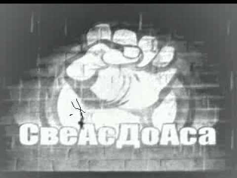 Kimi - Alkoholicar  (SveAsDoAsa)