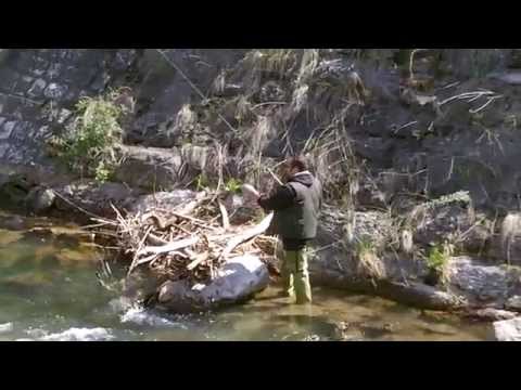 TRENTO PESCARE SUL FIUME FERSINA