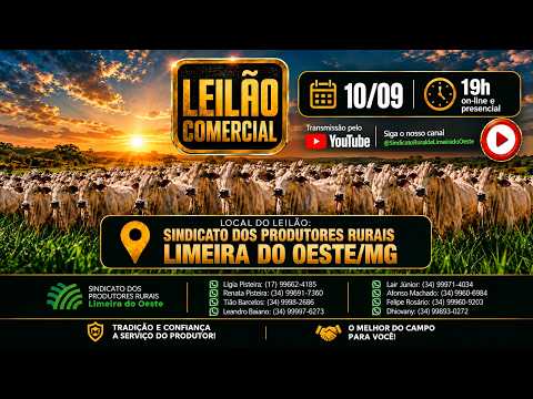 LEILÃO COMERCIAL DO SINDICATO DOS PRODUTORES RURAIS DE LIMEIRA DO OESTE/MG