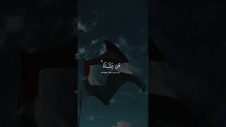Download lagu #freepalestine Palestine 🇦🇪 will be one Insha Allah #freepalestine #free #dua #duaforpeace #duaa mp3