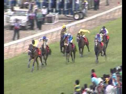 Bolting Cat demoted - Hot Rocket winner