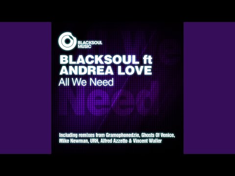 All We Need (Alfred Azzetto & Vincent Valler Dub)