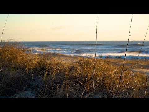 OBX Beach Report - 2/9/26 - Outer Banks This Week