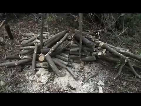 Как экономно резать дрова бензопилой.