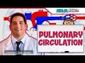 Circulatory System Pulmonary Circulation