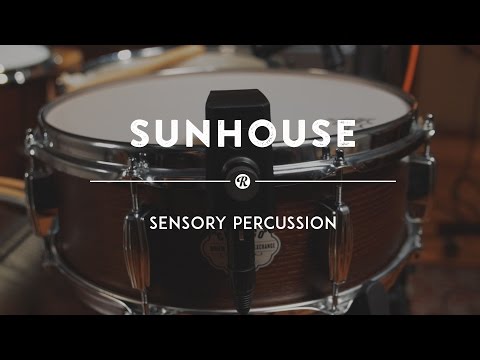 Sunhouse Sensory Percussion | Reverb Demo Video