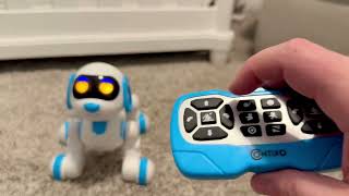 Robot Dog (Toy Review)