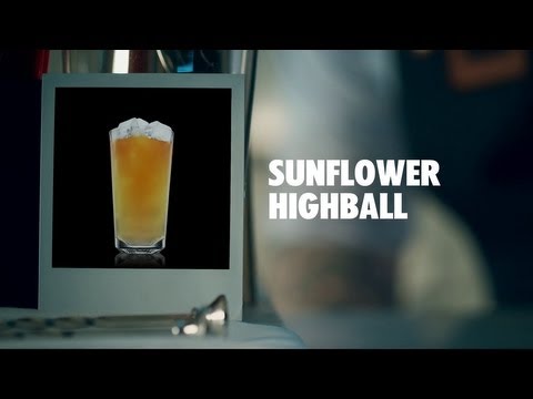SUNFLOWER HIGHBALL DRINK RECIPE - HOW TO MIX