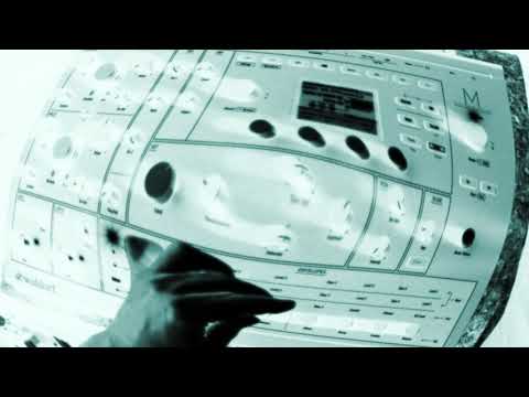 Waldorf M (no talking)