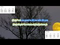 Fishin In The Dark By Nitty Gritty Dirt Band No Capo Play Along With Scrolling Chords Lyrics