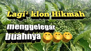 Download lagu amazing klon mp3