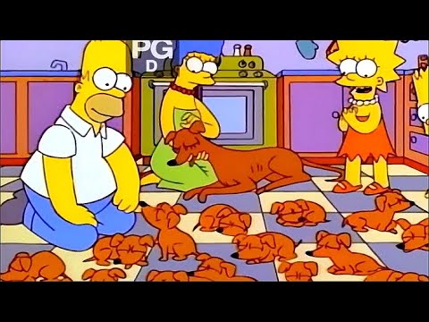 The Simpsons Happy Simpsons and 25 Puppies.