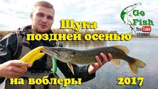 Рыбалка в краснодарском крае поздней осенью