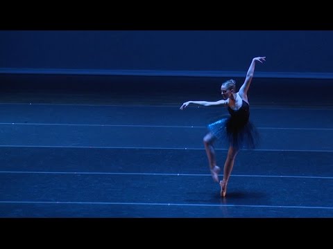 Brennan Wall "Papillon"