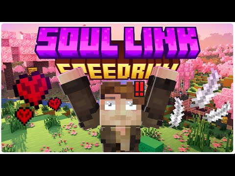 The Ultimate Soul-Link Mod? (Soul Link Speedrun Showcase)