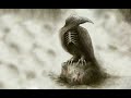 In Flames – Sounds Of A Playground Fading (HQ)