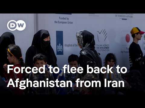 Afghans forced to flee Iran: 'arriving at the border with just the clothes on their back' | DW New