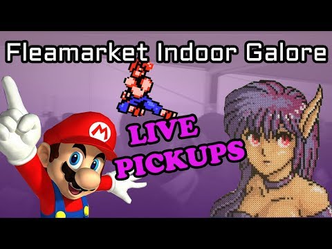 Video Game Hunting Live Ep 7. Flea Market Indoor Galore Madness - Ed's Retro Geek Out
