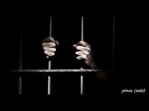 الشيخ الشايب يا نجمة طلي