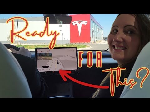 I'm EXPOSING This* about Tesla stock no matter what! Just tried FSD V12.3 in a Tesla Model Y. $TSLA