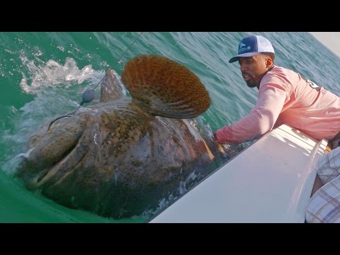Fishing for Huge Groupers and Sharks with NBA Forward Wilson Chandler - ft. Chew On This - 4K