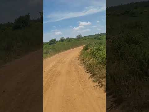 vía a corregimientos de nechi antioquia #shorts