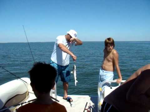 2008-09-27 Crystal RIver fish & Tube