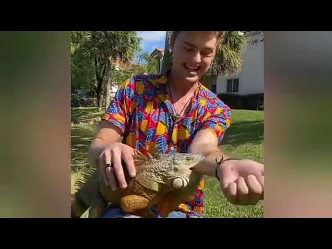 🐲🐲 iguana Bite my Hand 😱😱 Dangerous iguana l Reptiles 🐍🐲 😱 #shorts #short l viral  video