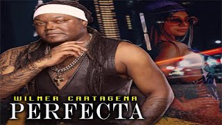 Perfecta Music Video