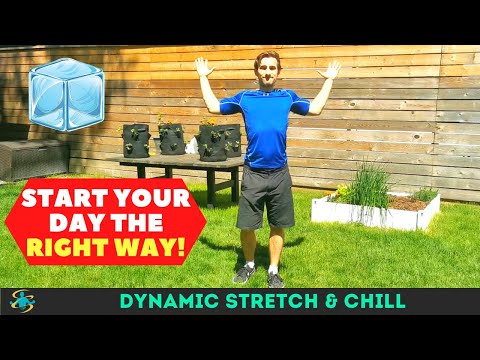 Dynamic Stretch & Chill | 10 Minutes | Outdoor Workout